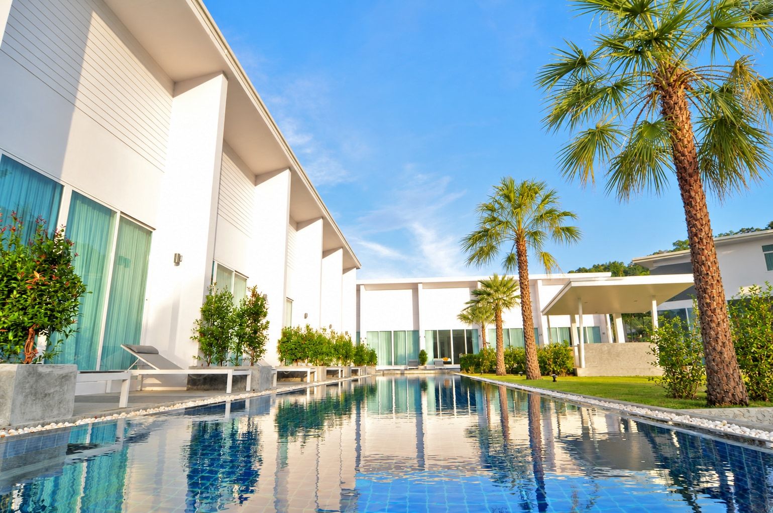 Palm trees and the outdoor pool at The Palmery Resort